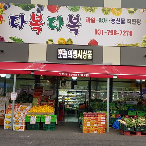[블로그 기자단] 다복다복