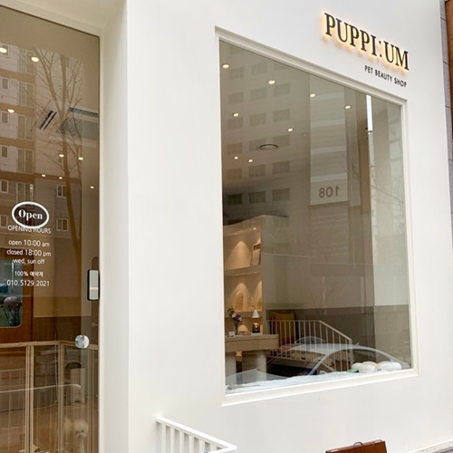 [블로그 기자단] *피움​