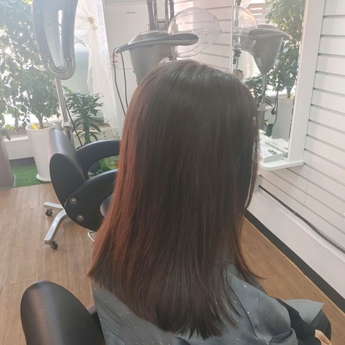 [블로그 기자단] 쁘띠헤어*