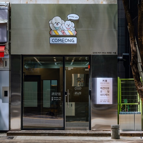[긴급 블로그 기자단] *몽