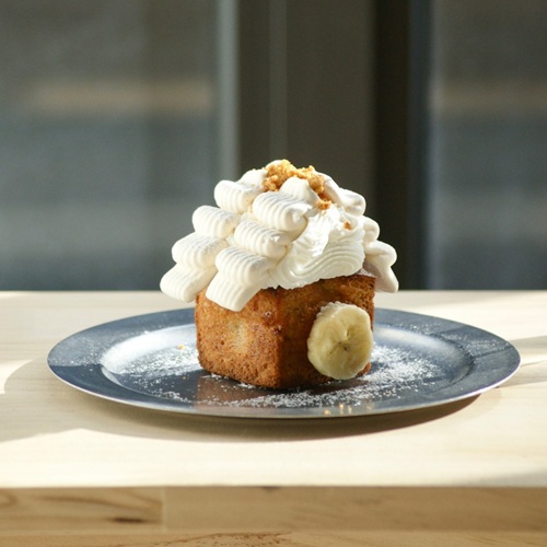 [긴급 블로그 기자단] *집