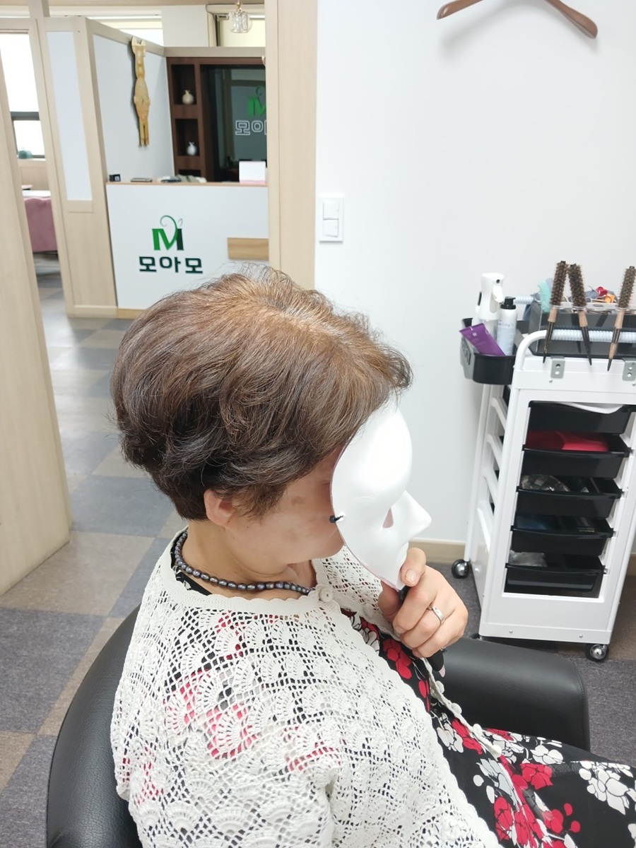 [블로그 기자단] 모아모 위그