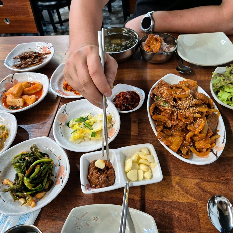 [블로그 기자단] 푸른솔나무병*