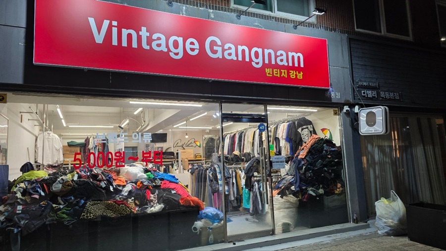 [긴급 블로그 기자단] *티지강남 