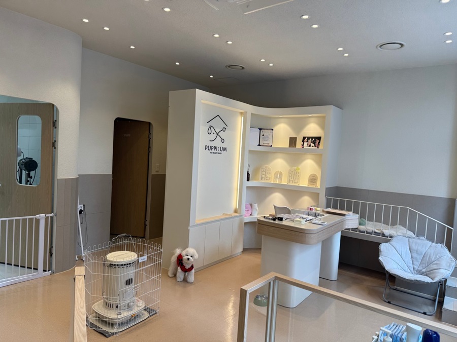 [블로그 기자단] *피움​