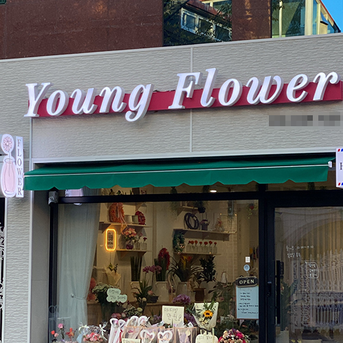 [블로그 기자단] 영플라워 young flower 