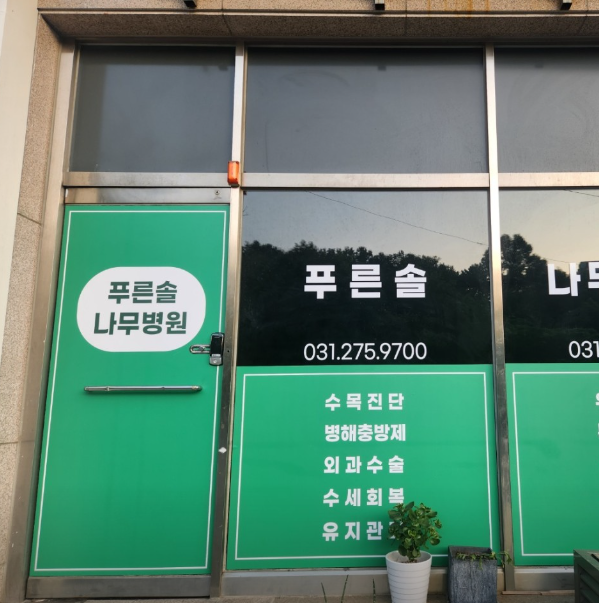 [블로그 기자단] 푸른솔나무병*