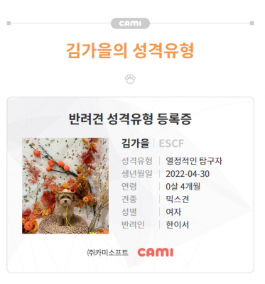 반려견을 더욱 이해할 수 있는 시간, [카미] 강아지 MBTI 성향분석 해 보자!