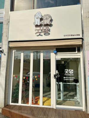 청주애견미용 굿댕 1인샵 예약제부터 호텔링서비스까지