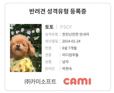 카미 강아지 MBTI 검사해보기! 반려견 성격유형검사 (토토는 PSCF)