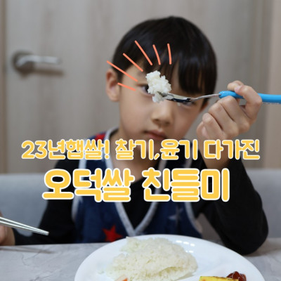 23년햅쌀 추천 !! 찹쌀없이 찰지고 윤기좌르르~ 도매꾹 햅쌀 오덕쌀 친들미