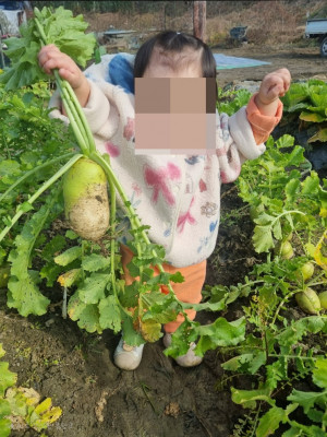 천안어린이집 청당동 영아어린이집 친절한 햇살조은어린이집