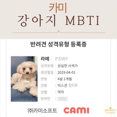 (카미 강아지 성격 테스트) 강아지 심리테스트 강아지 MBTI 멍 BTI 강아지 성격