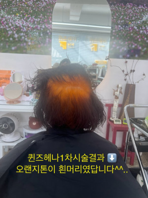 [강원] 양양두피관리 헤어샵 탈모 컷 펌 드라이 클리닉 저작극 친환경염색 , 퀸즈헤어