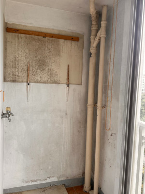 [부산입주청소] 곰팡이제거까지 완벽! '알뜰청소'에서 하청없는 찐 거주청소 했어요 (특수청소)