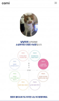 반려묘고양이 성격유형 MBTI 카미