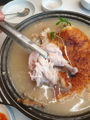 양주백숙 맛집 월계촌에서 든든한 보양식을 즐겨요!
