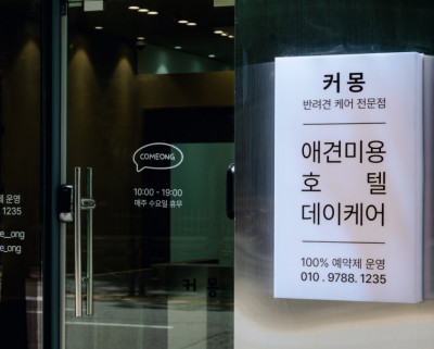부천 애견미용 호텔 데이케어 찾는다면? 커몽 추천해요!