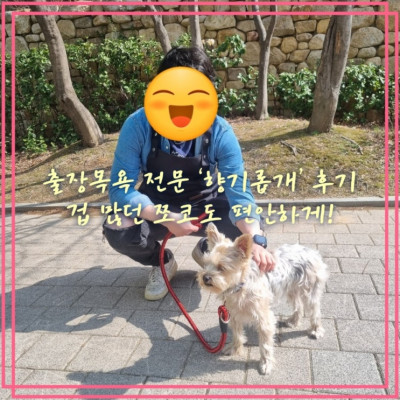 출장목욕 전문 ‘향기롭개’ 후기  겁 많던 쪼코도 편안하게!