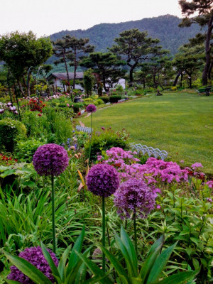 남양주 독채펜션, 축령산 독채펜션 '꽃무리뜸'