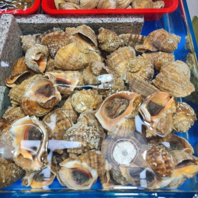 대부도어시장, 대부도횟집, 대부도맛집 '태양수산'