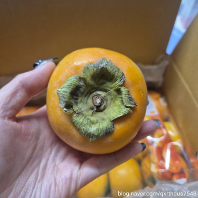 겨울 과일추천 ! 푸드박스 단감 맛있구만