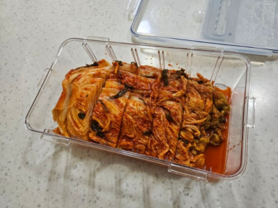 도매꾹 김치자르미 간편한 밀폐용기 도마 자르고 보관이 한방