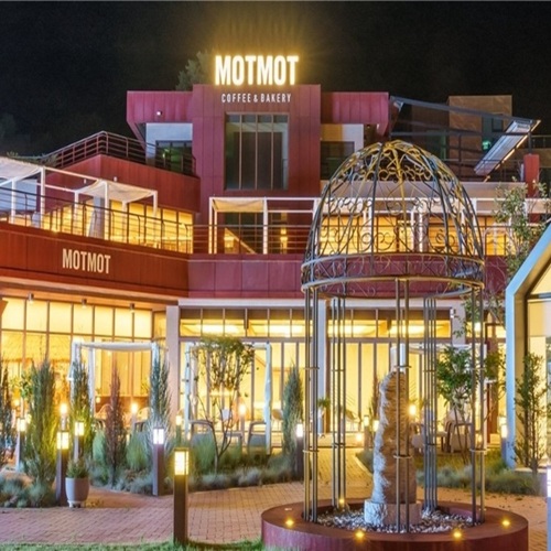 [긴급 블로그 기자단] *토모토