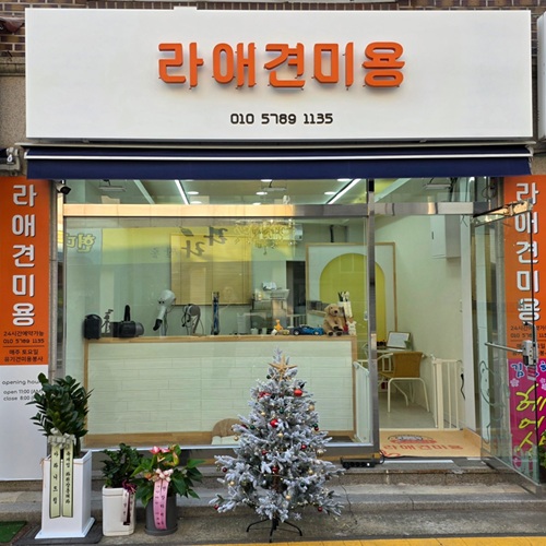 [긴급 블로그 기자단] *애견미용