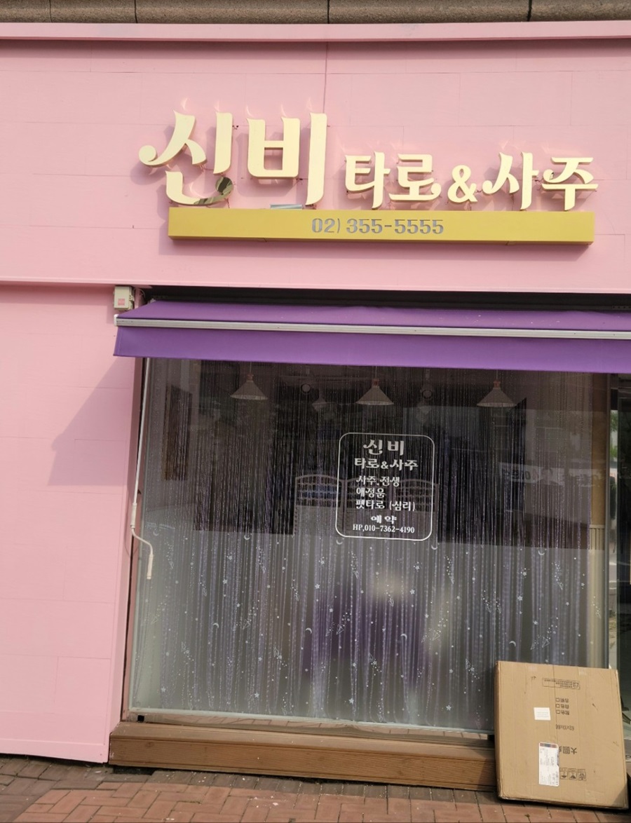 [블로그 기자단] 신비타로&사*