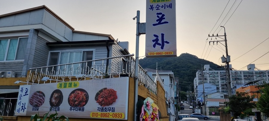 [블로그 기자단] 복순이네포*