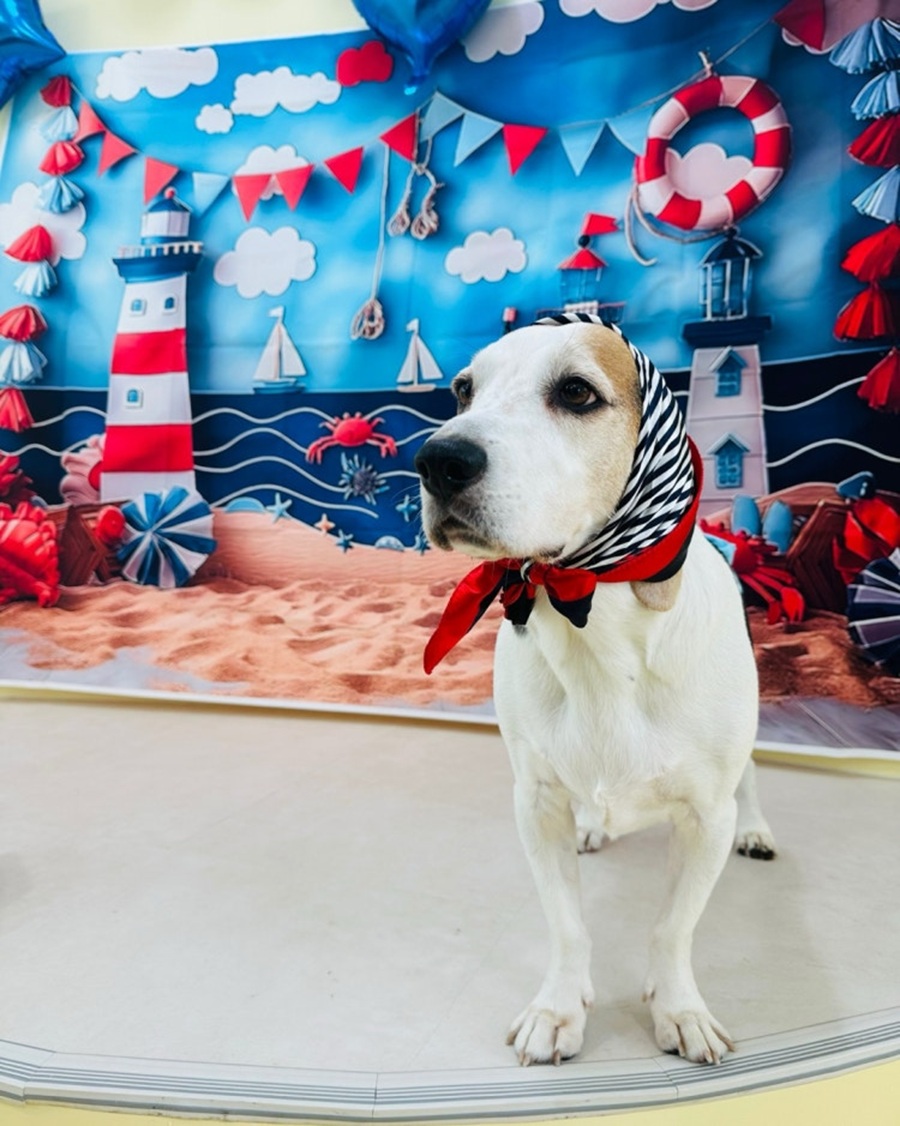 [긴급 블로그 기자단] *글댕둥글댕