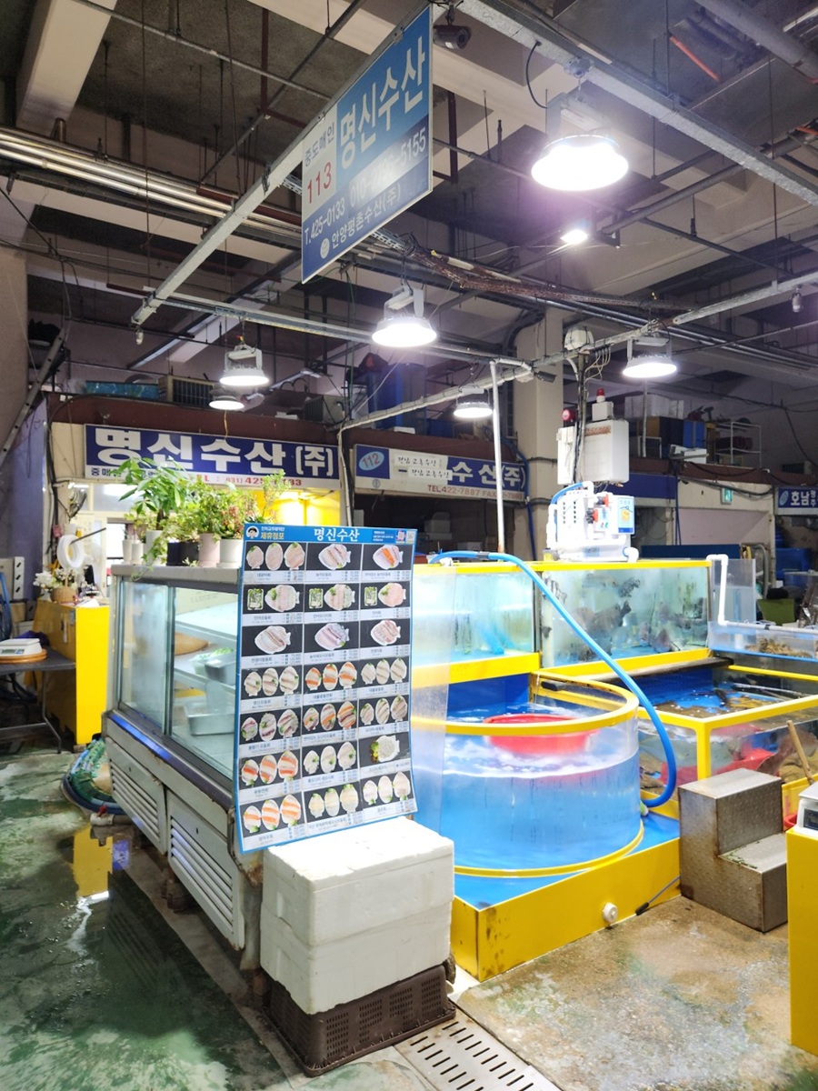 [블로그 기자단] *신수산