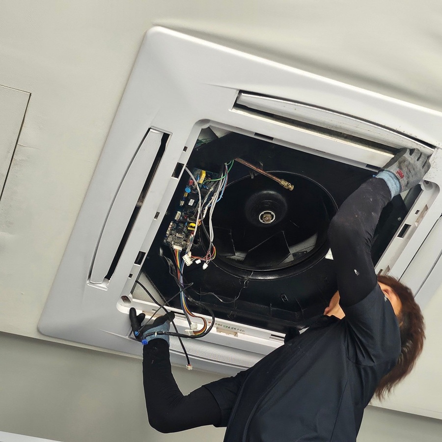 [블로그 기자단] *팀장홈케어