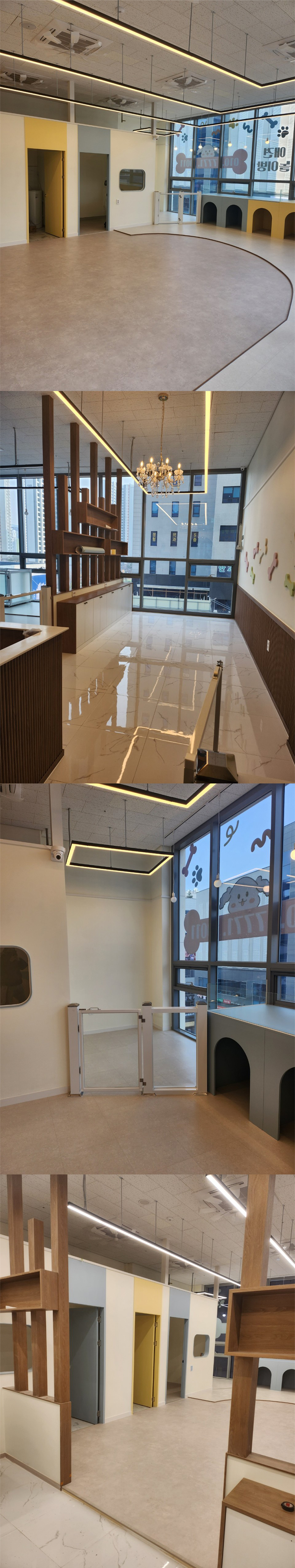 [긴급 블로그 기자단] 루루퍼피