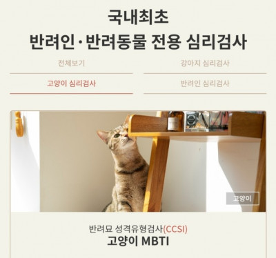 [후기] 반려동물 전용 심리검사 카미 / 반려묘심리검사 고양이mbti