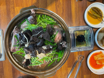 용인오리백숙맛집 여름 보양식 오리마당
