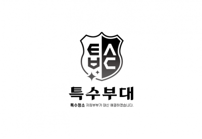 쓰레기가 많이 있는 집청소 하신다면 특수부대 추천