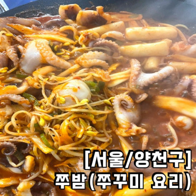 [목동 쭈꾸미 맛집] 쭈밤/쭈꾸미 요리 전문점(쭈꾸미 볶음, 튀김, 연포탕)