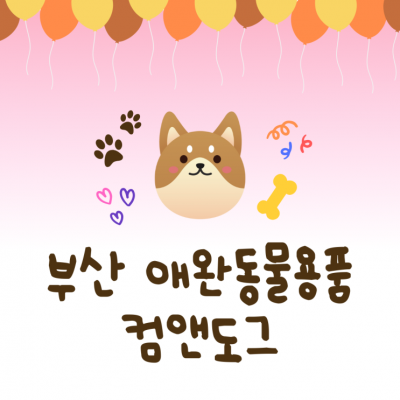 부산 애완동물용품 전문샵 컴앤도그 강아지사료부터 고양이용품까지 총집합!