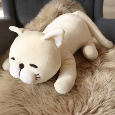 성남이불 전문 쉬즈가복정전시장 오픈! 강아지·고양이 쿠션 신상품 입고