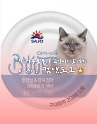 [부산] 강아지용품부터 고양이사료까지 한 곳에! ‘컴앤도그’