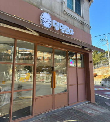 편안한 분위기에 1:1 맞춤 미용 김해 애견 미용 댕댕모아