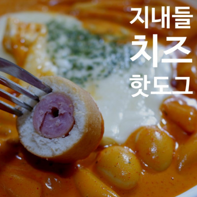 지내들 치즈 핫도그